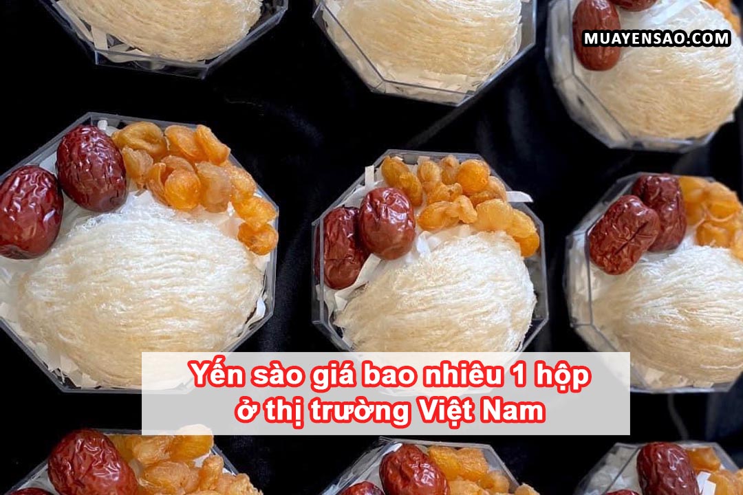 Yến sào giá bao nhiêu 1 hộp ở thị trường Việt Nam